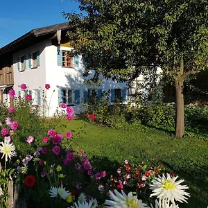 Hofen 5 Apartment